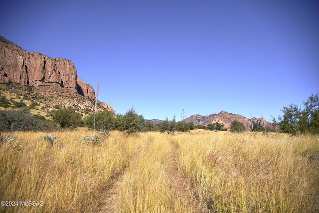 TBD W Mills Blvd Unit 25, Portal, AZ 85632