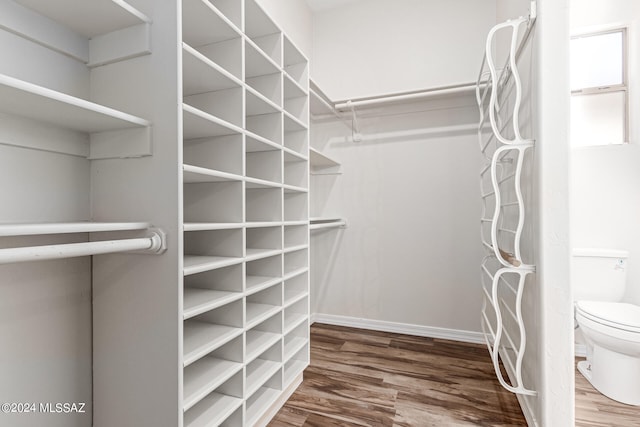 walk in closet with hardwood / wood-style floors