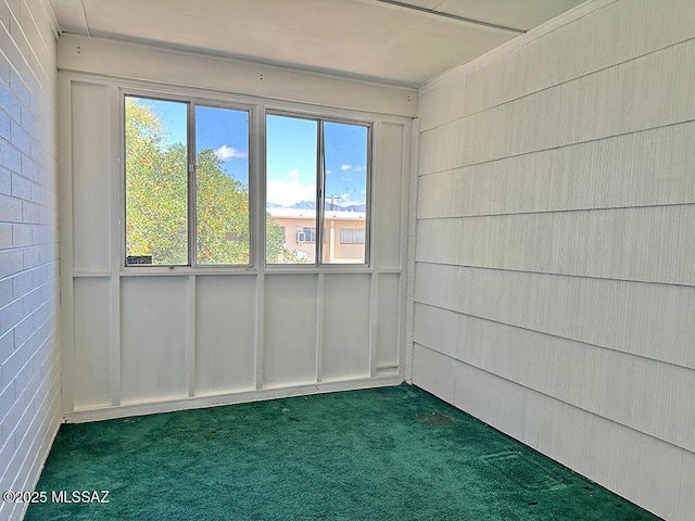 carpeted spare room featuring a wealth of natural light