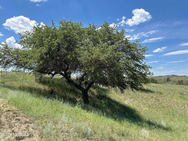 view of landscape with a rural view