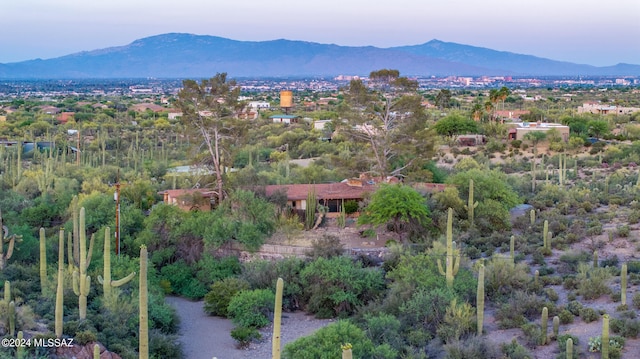 bird's eye view with a mountain view