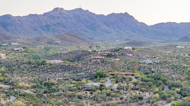 view of mountain feature