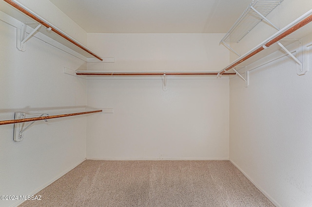 spacious closet featuring carpet flooring