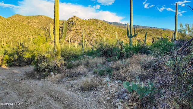 Listing photo 3 for TBD E Redington Rd Unit 14.89, Acres, Tucson AZ 85749