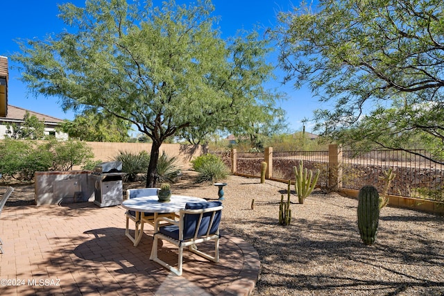 view of yard with a patio area