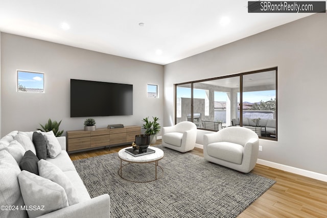 living room with wood-type flooring