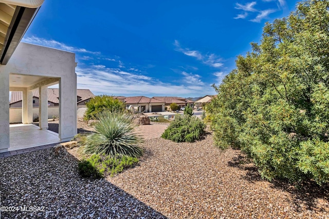 view of yard featuring a patio