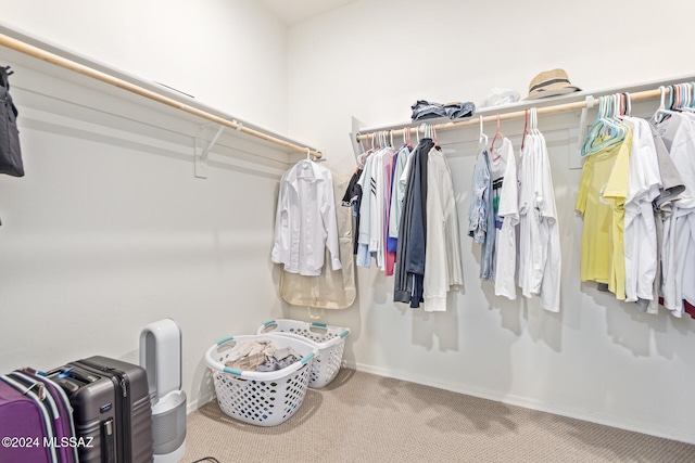 spacious closet featuring carpet