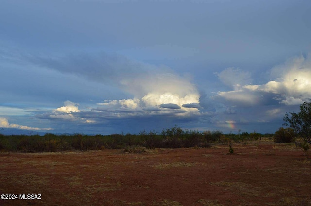 view of local wilderness with a rural view