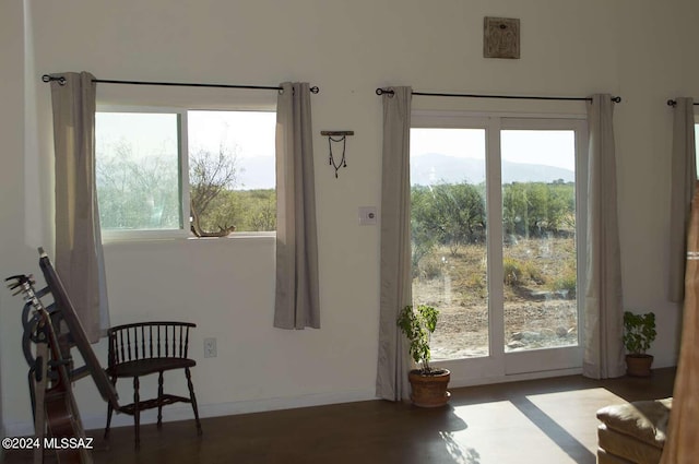 doorway featuring plenty of natural light and dark hardwood / wood-style flooring