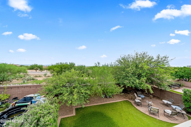 view of yard with a garden, a fenced backyard, and a patio