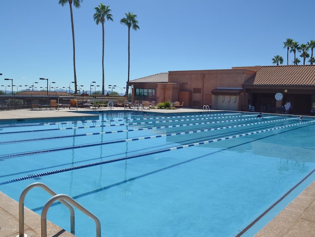 view of swimming pool