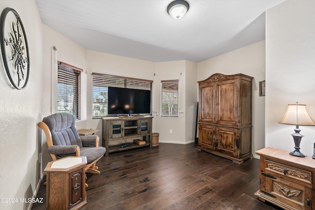 living area with dark wood-type flooring