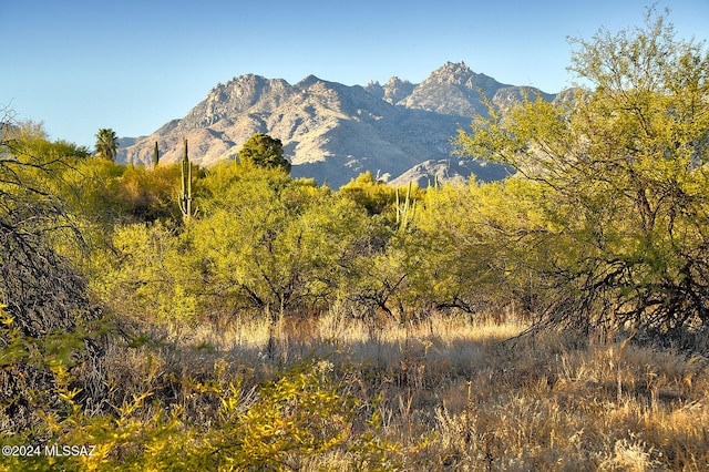 view of mountain feature