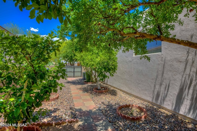 view of yard with a patio area