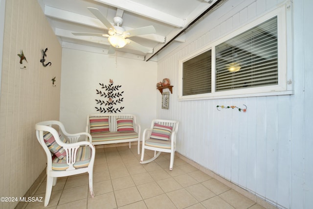 view of patio / terrace with ceiling fan