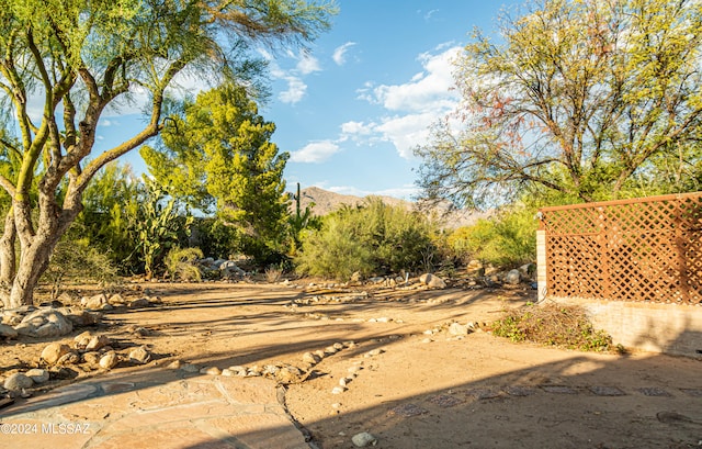 view of yard featuring a mountain view