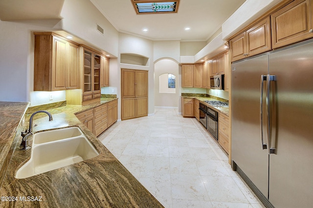 kitchen with appliances with stainless steel finishes, dark stone counters, ornamental molding, and sink