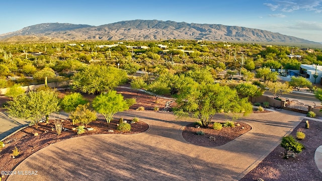 birds eye view of property featuring a mountain view