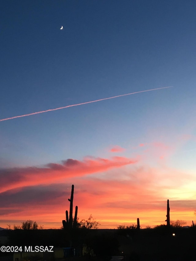 view of nature at dusk