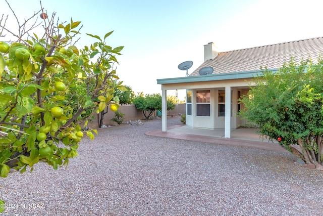 view of yard featuring a patio area