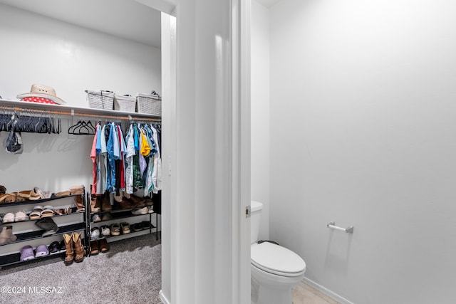 spacious closet featuring carpet flooring