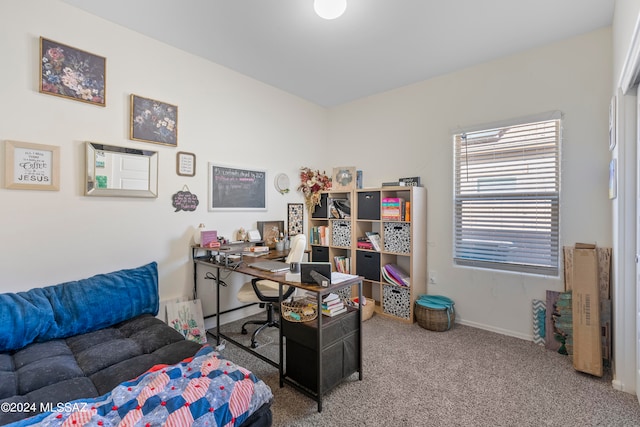 office space with carpet flooring