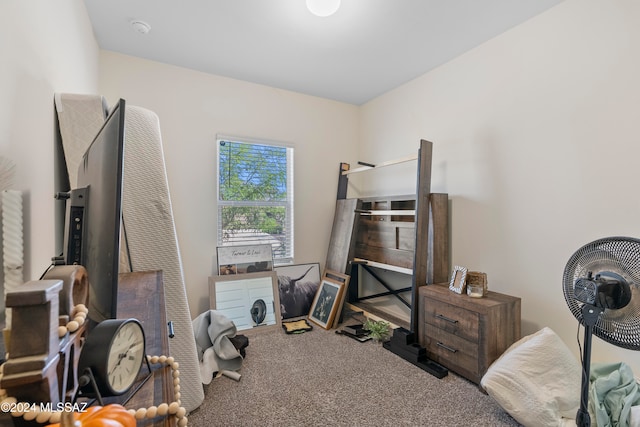 bedroom with carpet floors