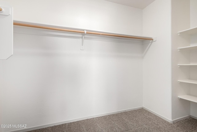 walk in closet featuring carpet