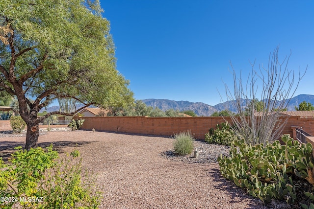 view of yard with a mountain view