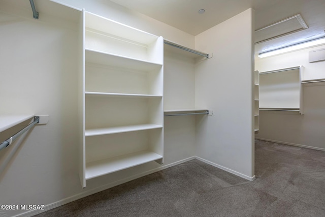 walk in closet with carpet floors