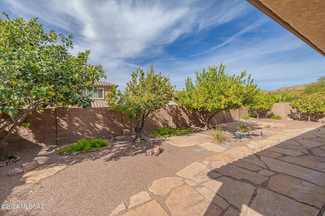 view of yard with a patio