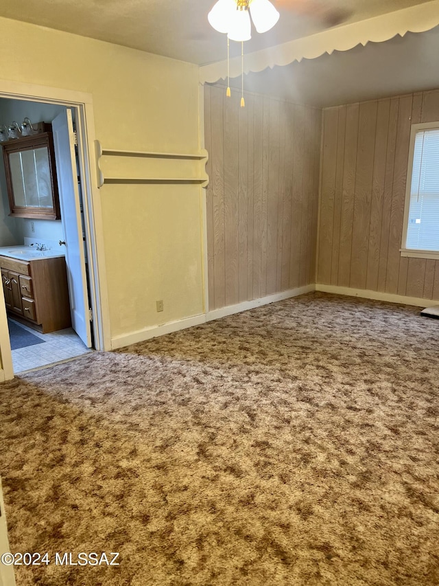 172 S Austin Blvd, Willcox, AZ 85643 - empty room featuring carpet flooring, a sink, and wooden walls