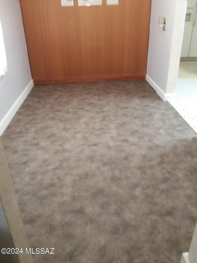 carpeted spare room featuring wood walls