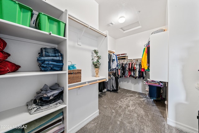 spacious closet featuring carpet flooring