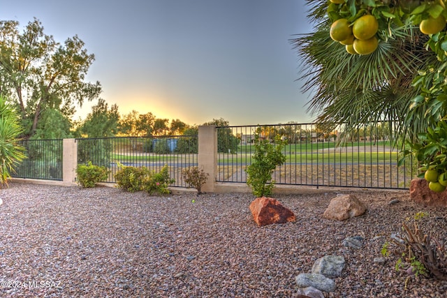 view of yard at dusk