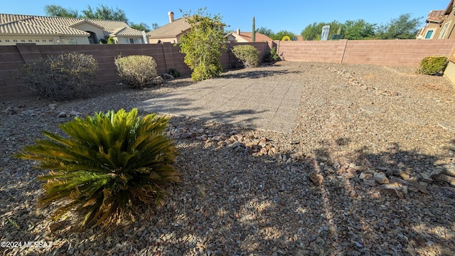 view of yard with a patio area