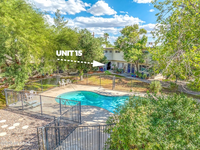 view of swimming pool featuring a patio area