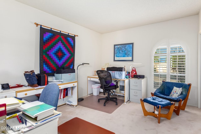 office space featuring light carpet