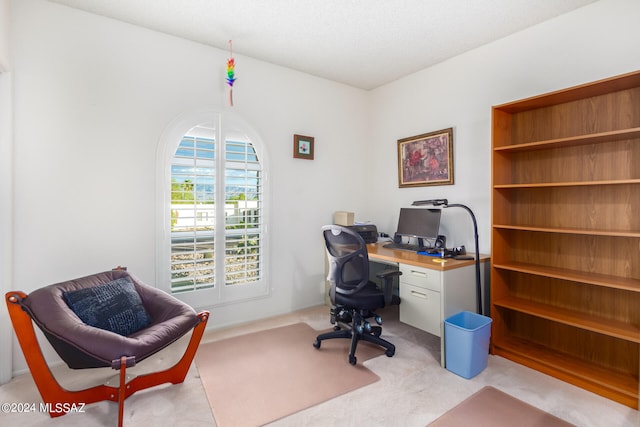 office area featuring light colored carpet