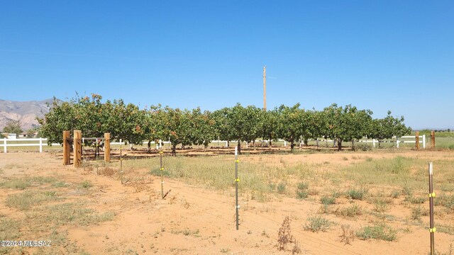 view of yard featuring a rural view and a mountain view