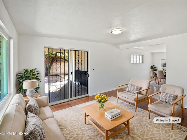 living room with light hardwood / wood-style flooring and a wealth of natural light