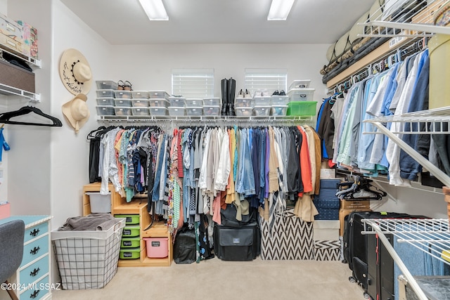 spacious closet with carpet