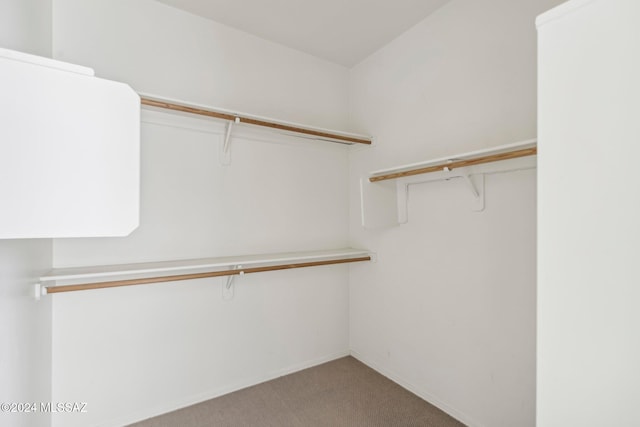 walk in closet with light colored carpet