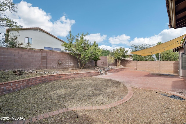 view of yard featuring a patio area