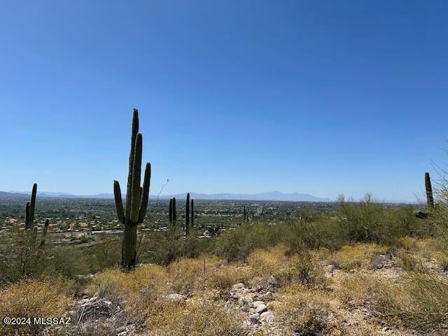 4160 N Painted Quail Pl Unit 81, Tucson AZ, 85750 land for sale