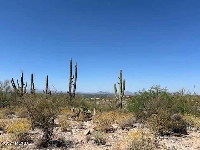 Listing photo 2 for 4160 N Painted Quail Pl Unit 81, Tucson AZ 85750