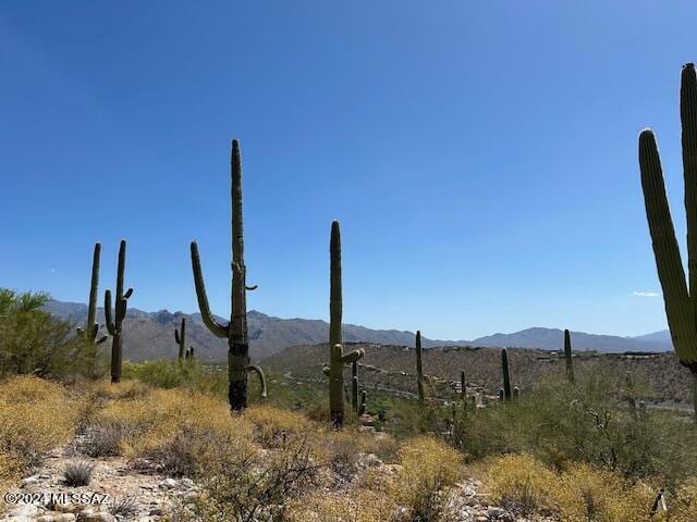 Listing photo 3 for 4160 N Painted Quail Pl Unit 81, Tucson AZ 85750