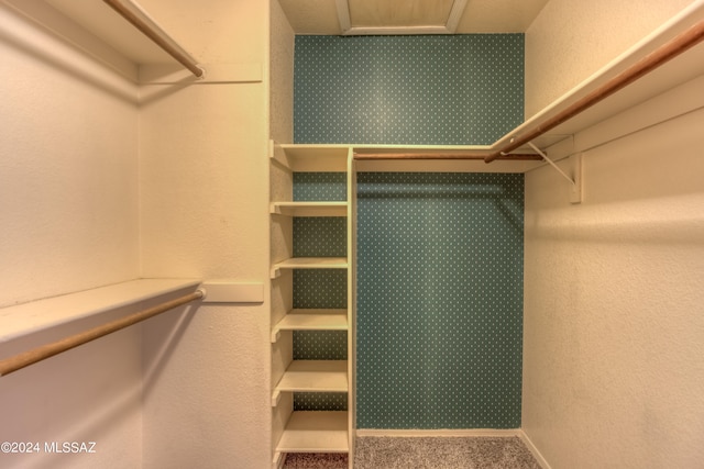 walk in closet with carpet