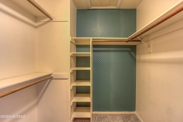10081 N Pitchingwedge Ln, Tucson, AZ 85737 - walk in closet with carpet flooring